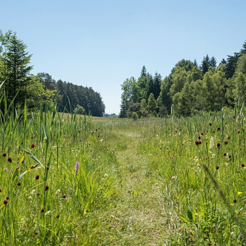 Natur © © SusaZoom/Adobe Stock