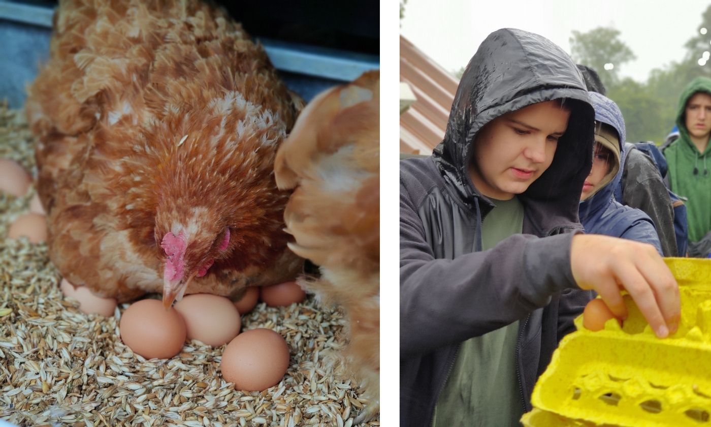 Huhn und Kinder © Benjamin Stapf