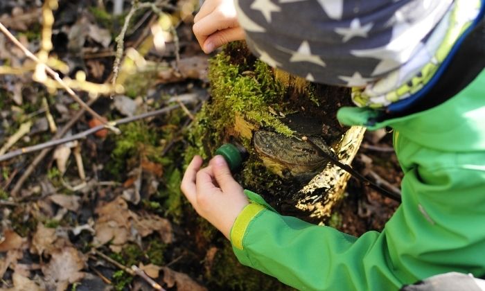 Geocaching im Wald