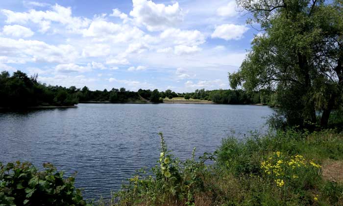 Rotter See