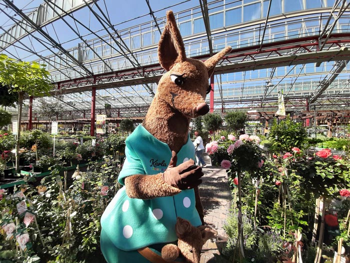 Karla Känguru bei Dinger's