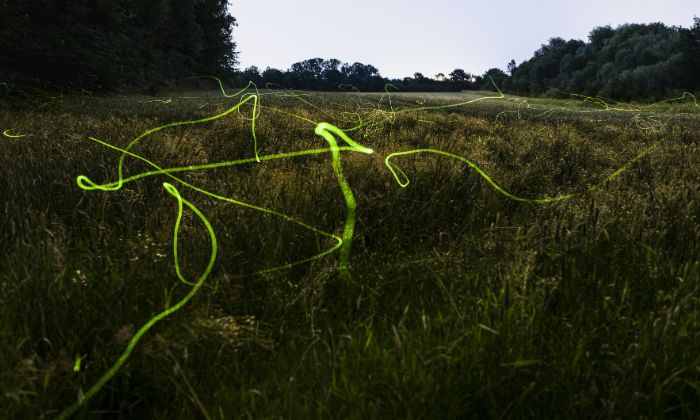© Sven von Loga/Carola Heneweer