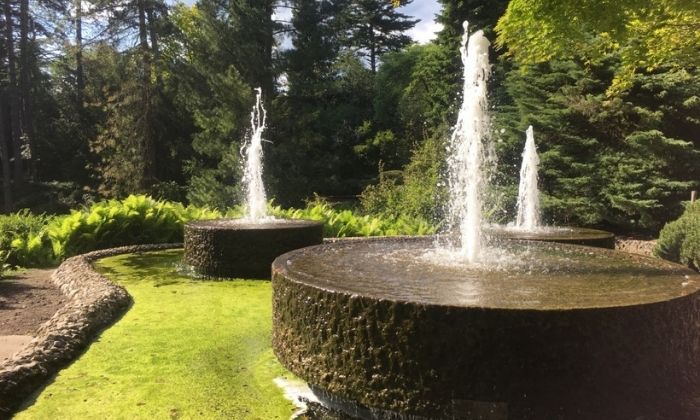 Brunnen im Forstbotanischen Garten