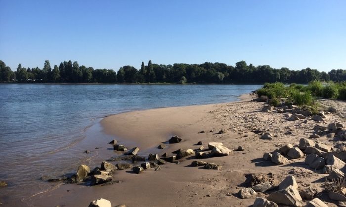 Rheinstrand