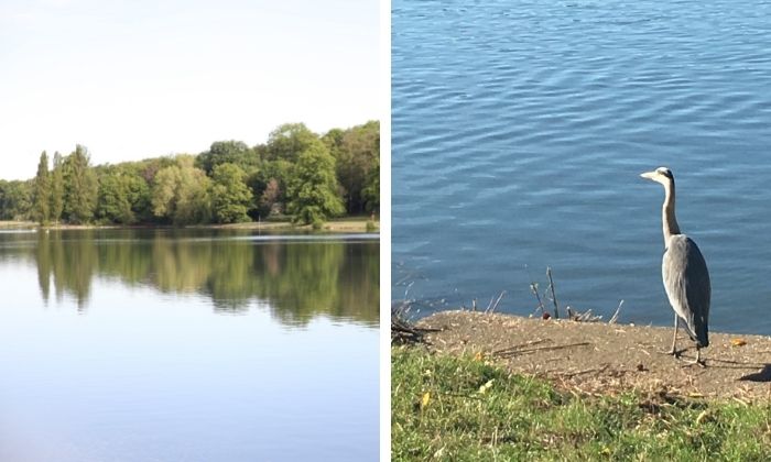 Im Grüngürtel – Blick über den Decksteiner Weiher © Hanka Meves-Fricke