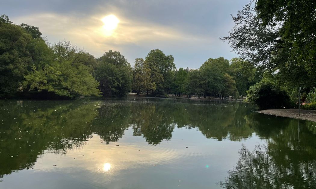 Morgendliche Stille am Volksgartenweiher © G. Esmaili