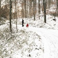 Wandern im Siebengebirge © Janina Mogendorf