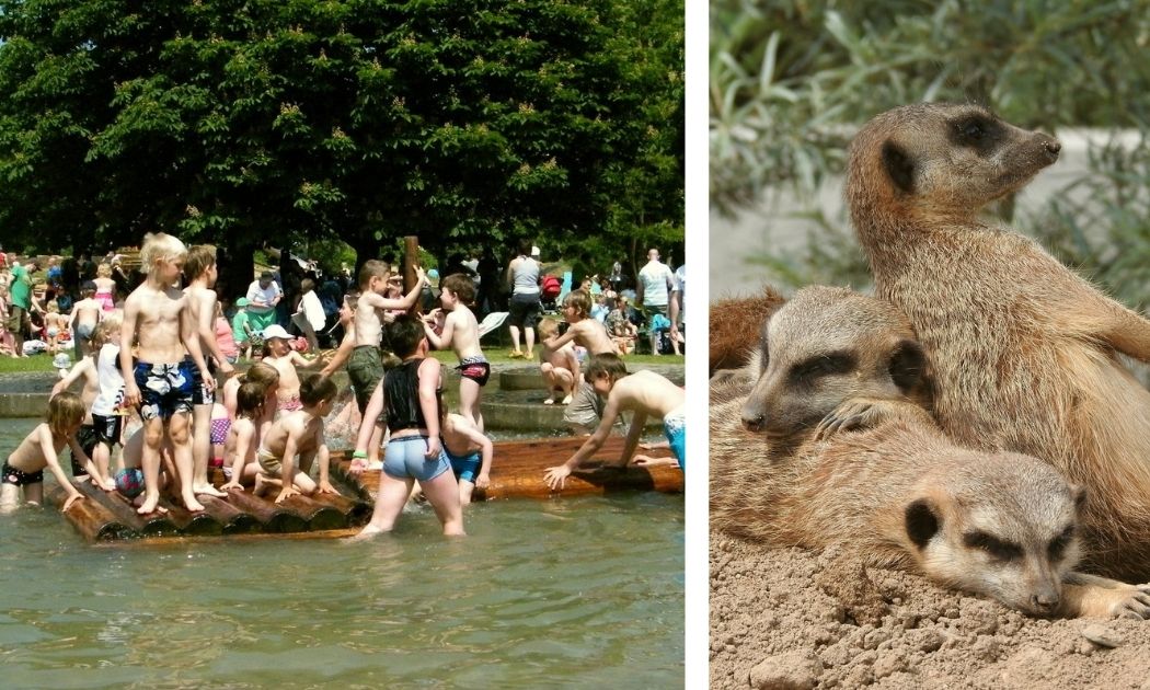Wasserspielplatz, Erdmännchen © Brückenkopfpark Jülich