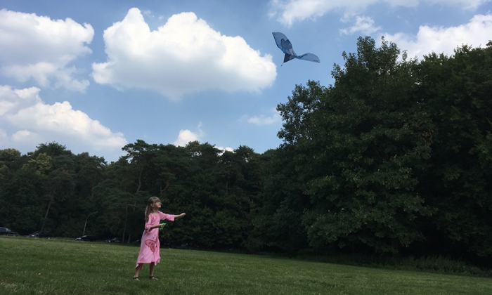Drachenzähmen leicht gemacht. Stadtreporterin Norea im Vorgebirgspark