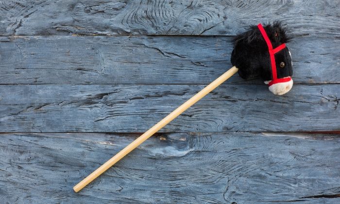 Hobby Horse
