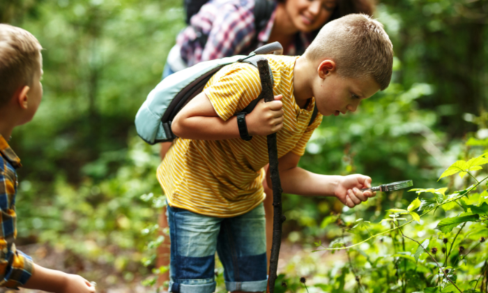 Kind mit Lupe im Wald © <span id=
