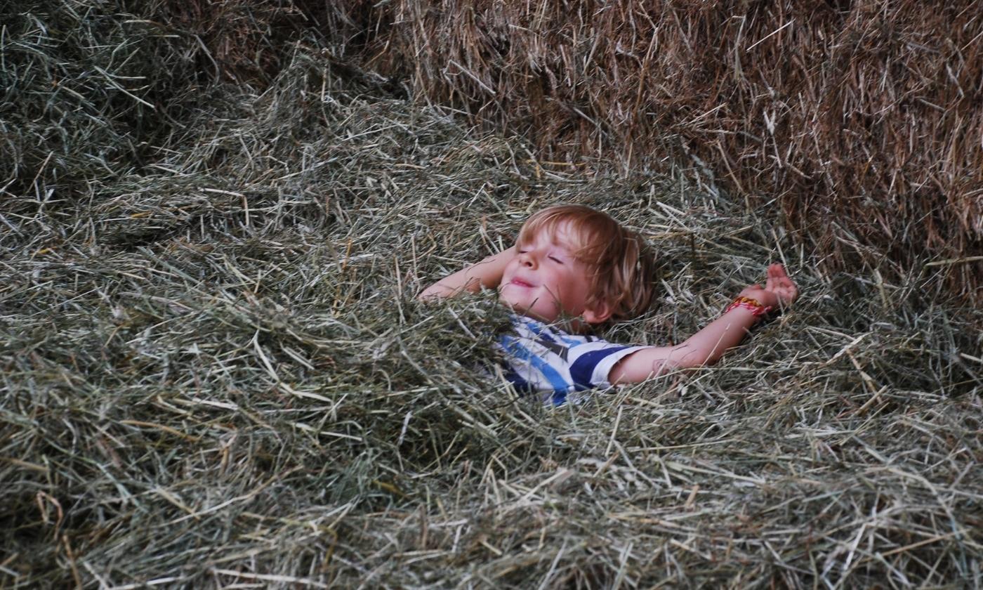 Erholung fällt beim Urlaub auf dem Bauernhof spielend leicht. © Christoph Schrahe