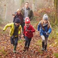 Kinder rennen durch den Wald. © AdobeStock Monkey-Business