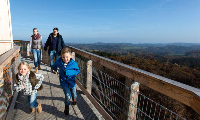 Toben über den Baumwipfeln