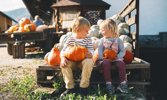 Kinder die bei einem fest mit Kürbissen zusammen sitzen