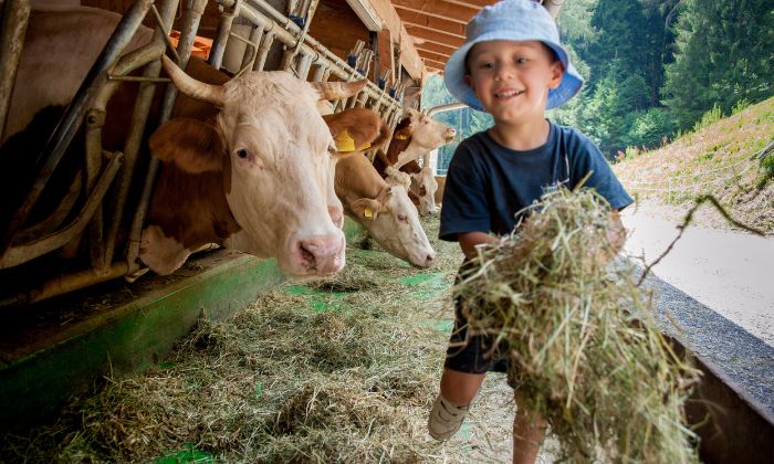 Kindergeburtstag auf dem Bauernhof