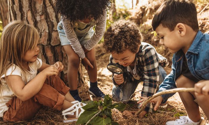 Kinder die im Wald etwas erforschen