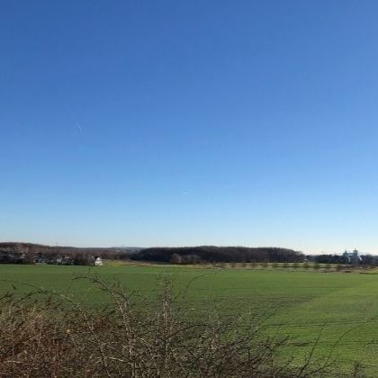 Felder in Porz-Urbach © Frau Sonnenberg