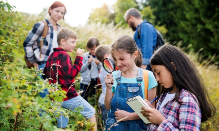 Kinder die auf einer Wiese neue Dinge lernen
