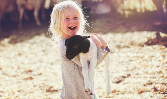 Tiere-iStockphoto.com-wilpunt